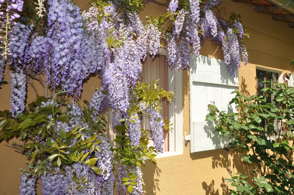B&B La Cerisaie Francheleins Exterior photo